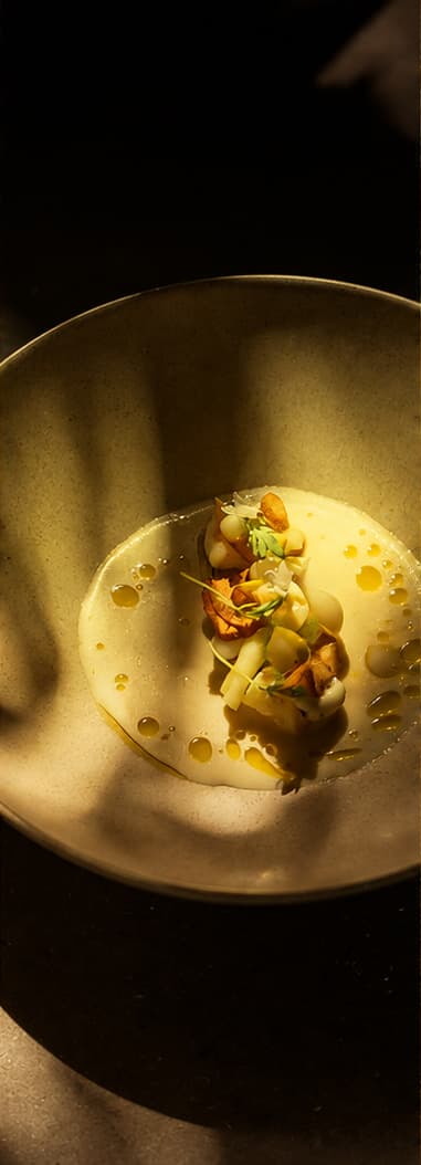 Gerecht van dichtbij in een aardewerken kom: witte asperge en aardappel in een romige saus met gouden olie, in een streep zonlicht.
